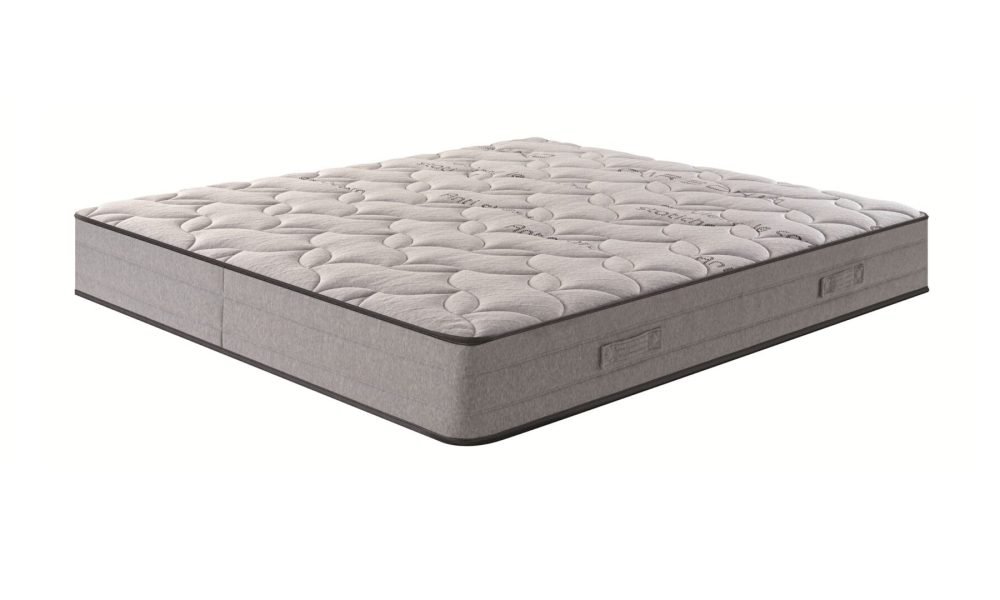 NEW BEGONIA - BEHOME